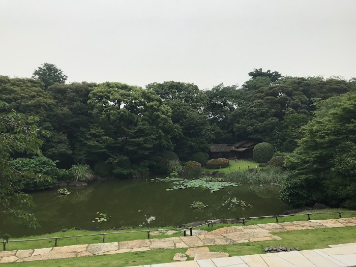 Shinobazu no ike (pond)