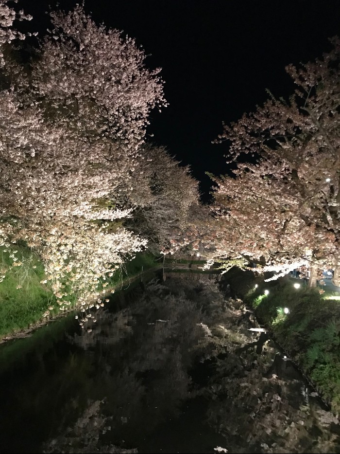 Hirosaki Park illumination