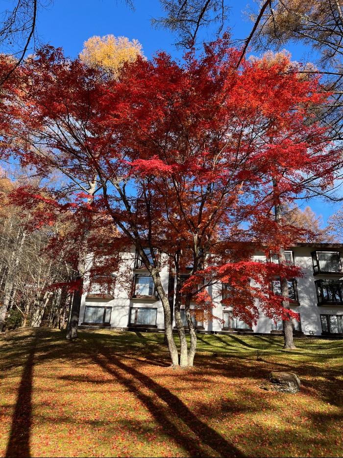 Tateshina Tokyu Hotel grounds
