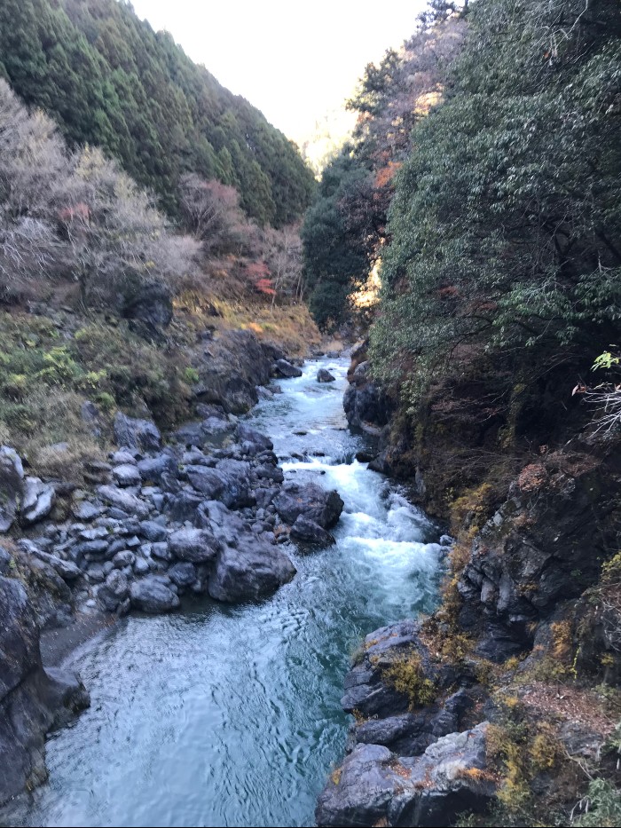 The view from the bridge