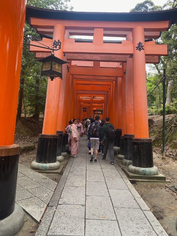 Sembon Torii - 1000 Gates
