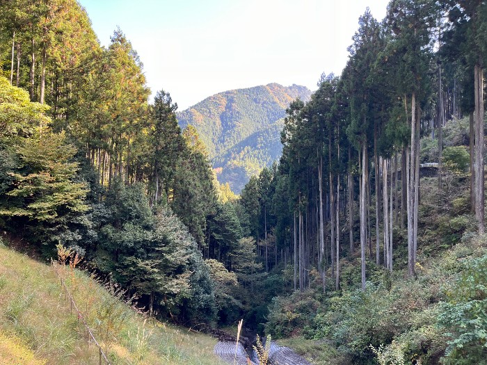 The view from the mystery Shrine down towards the river valley