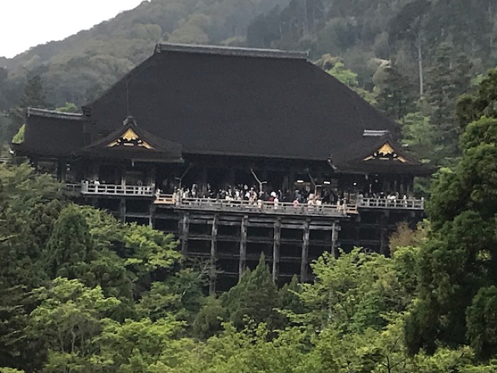 Kiyomizu-dera nestled in the forest hillside
