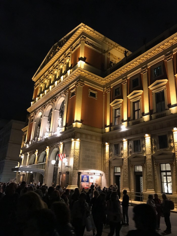 Evening at the Musikverein
