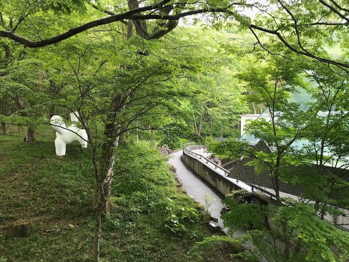 Hakone Forest