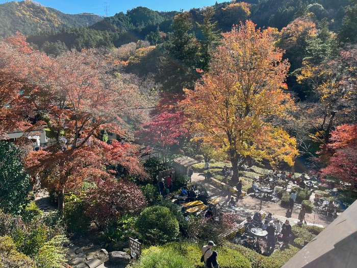 Seiryu Garden Sawanoi-en