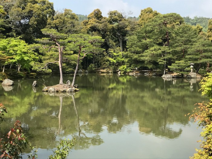 Kinkakuji Pond