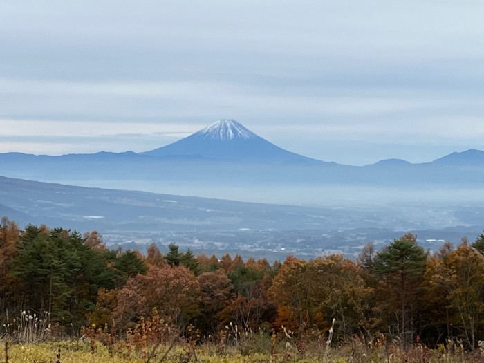 Snow capped Mt. Fuji in the distance