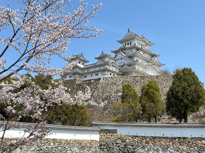 Himeji Castle, its White Splendor Amidst the Cherry Blossoms